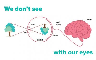 Visual and Eye: We don’t see with our Eyes